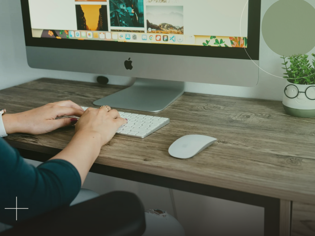 How to Choose a WordPress Web Developer in Port Elizabeth